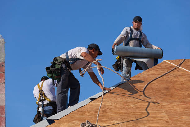 Best Roof Gutter Cleaning  in Gifford, FL